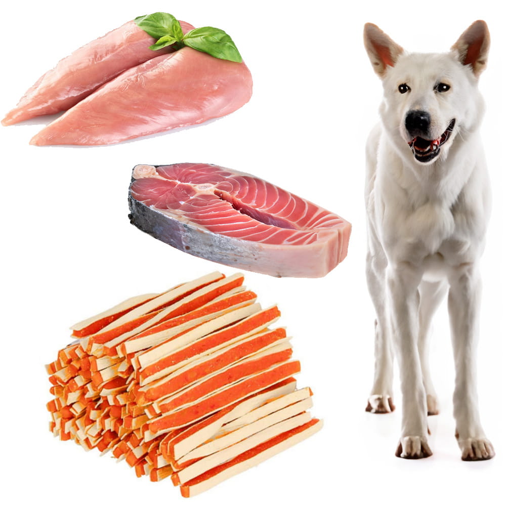 husky 2.jpg